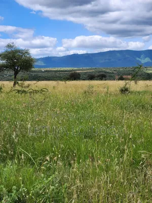 Ngong-Kimuka, Prime 5 Acres