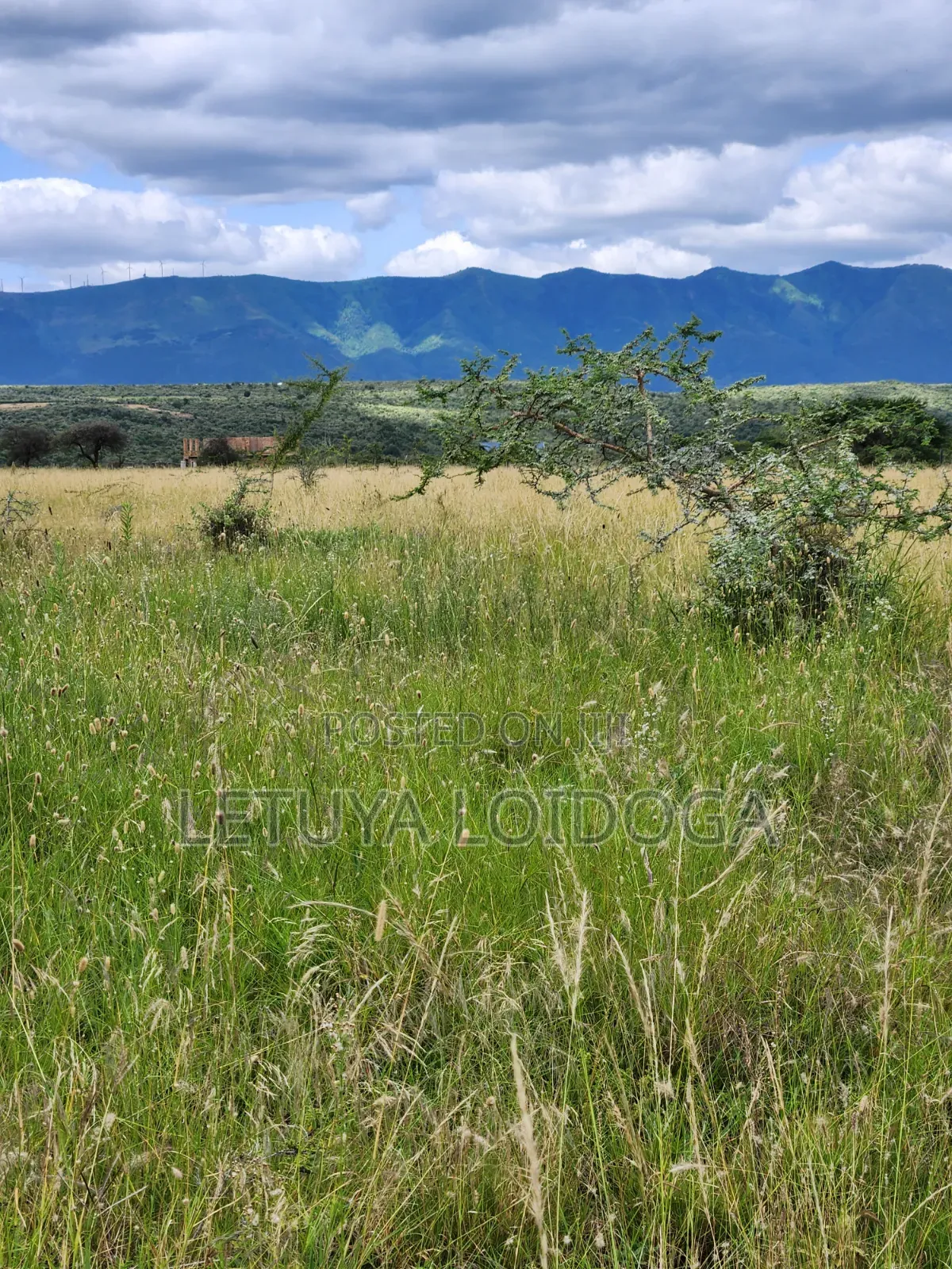 Ngong-Kimuka, Prime 5 Acres