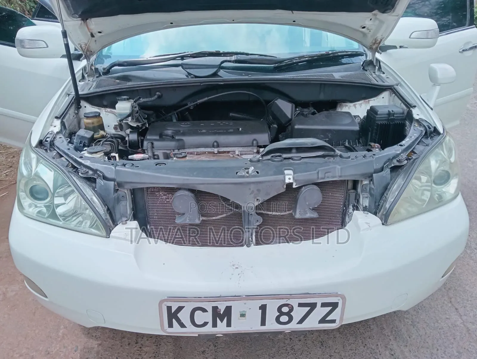 Toyota Harrier 2010 White