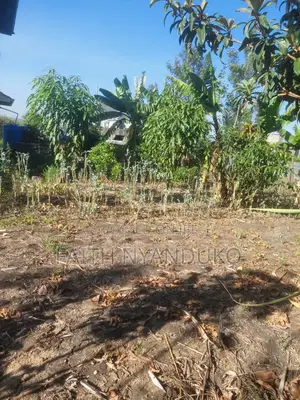 1/8th Residential Plot ,Borehole Unfinished House for Sale , Rangau