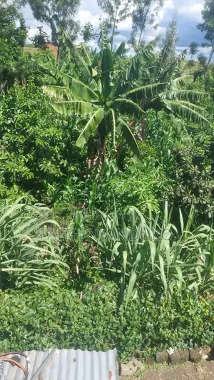 1/8th Residential Plot ,Borehole Unfinished House for Sale , Rangau
