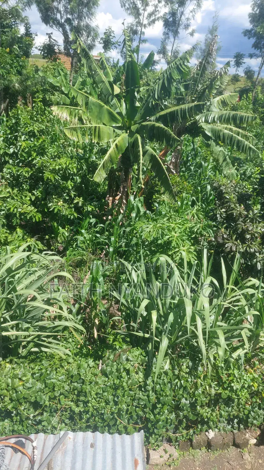 1/8th Residential Plot ,Borehole Unfinished House for Sale , Rangau
