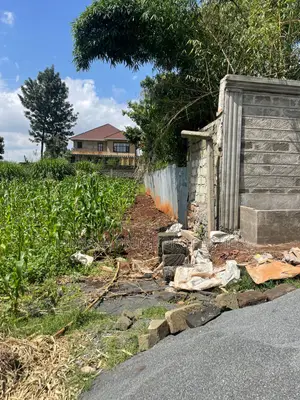 Quarter Acre Plot for Sale in Kerarapon Drive