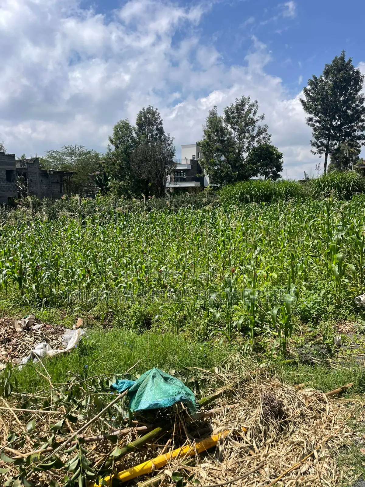 Quarter Acre Plot for Sale in Kerarapon Drive