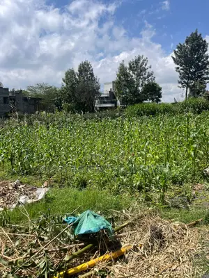 Quarter Acre Plot for Sale in Kerarapon Drive