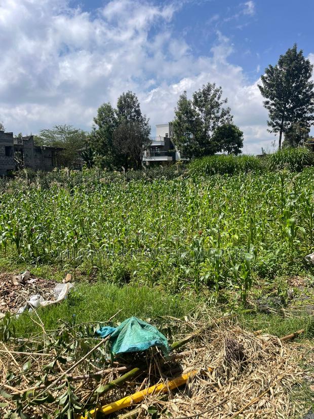 Quarter Acre Plot for Sale in Kerarapon Drive - thumbnail 3