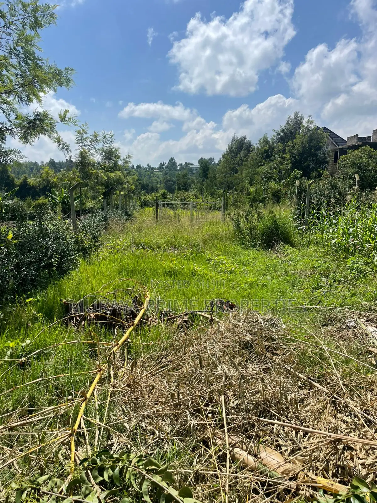 Quarter Acre Plot for Sale in Kerarapon Drive