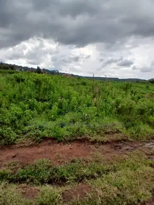 Prime 7 Acres for Sale – Kerarapon Drive