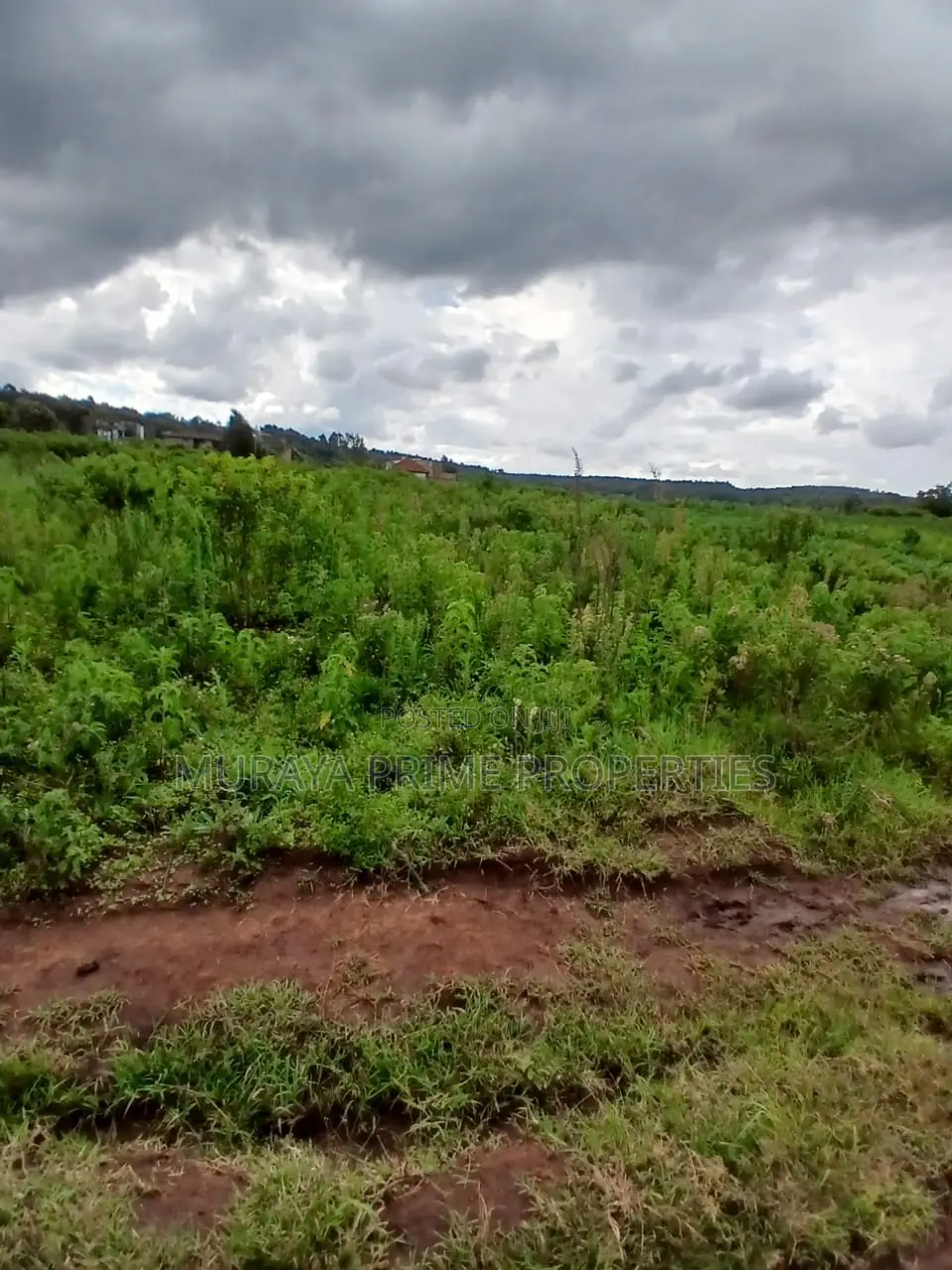 Prime 7 Acres for Sale – Kerarapon Drive
