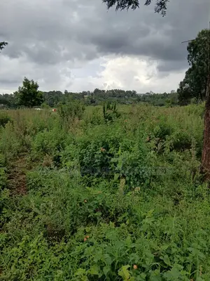 Prime 7 Acres for Sale – Kerarapon Drive
