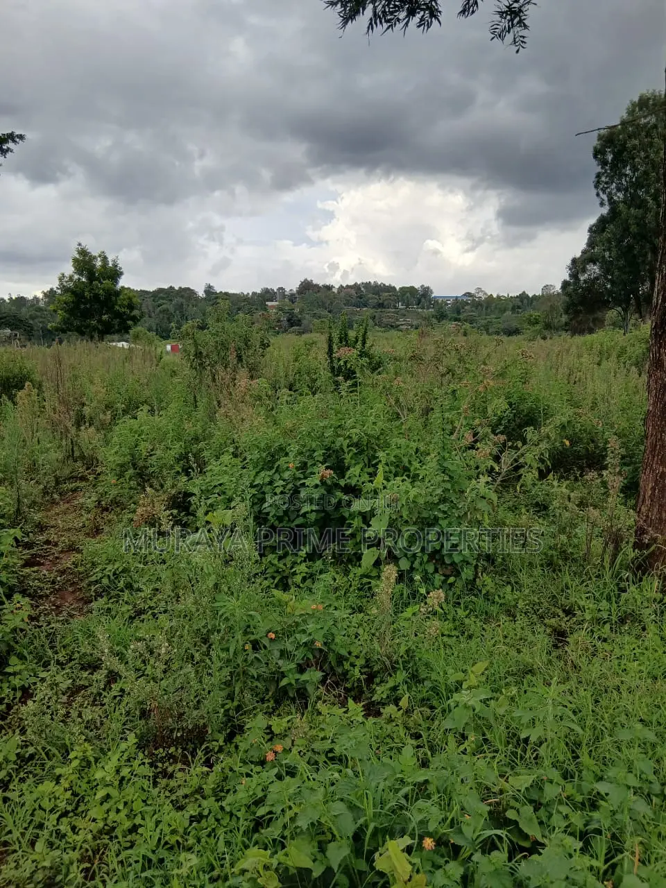 Prime 7 Acres for Sale – Kerarapon Drive