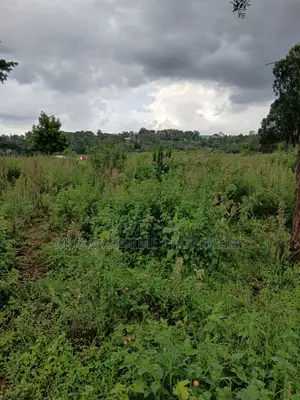 Prime 7 Acres for Sale – Kerarapon Drive