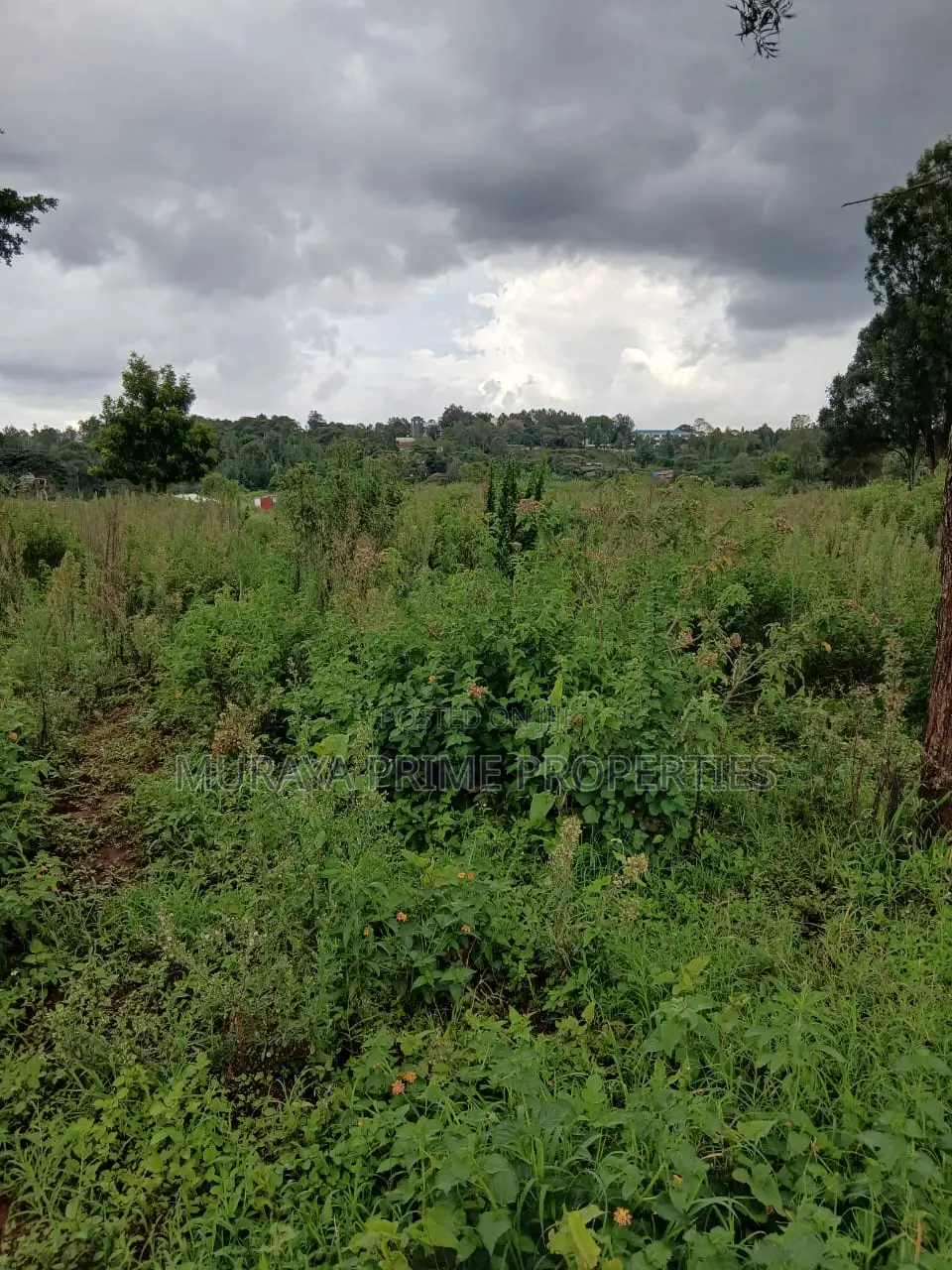 Prime 7 Acres for Sale – Kerarapon Drive