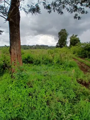 Prime 7 Acres for Sale – Kerarapon Drive