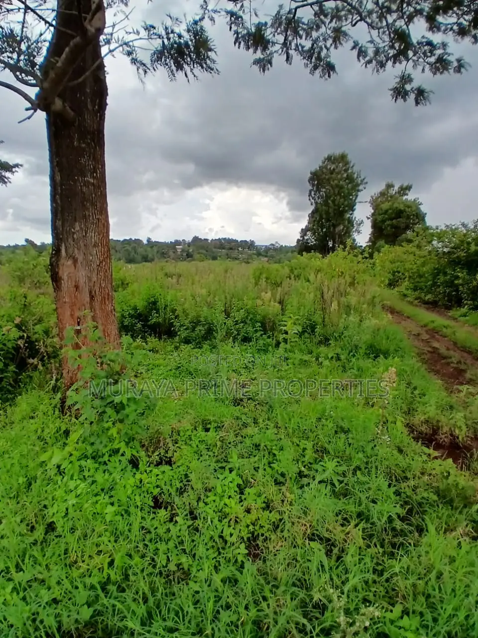 Prime 7 Acres for Sale – Kerarapon Drive