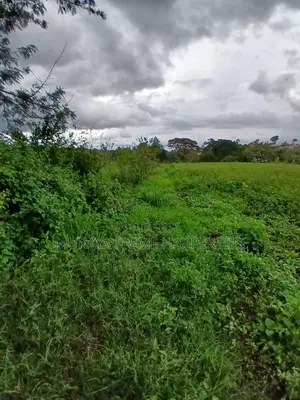 Prime 7 Acres for Sale – Kerarapon Drive