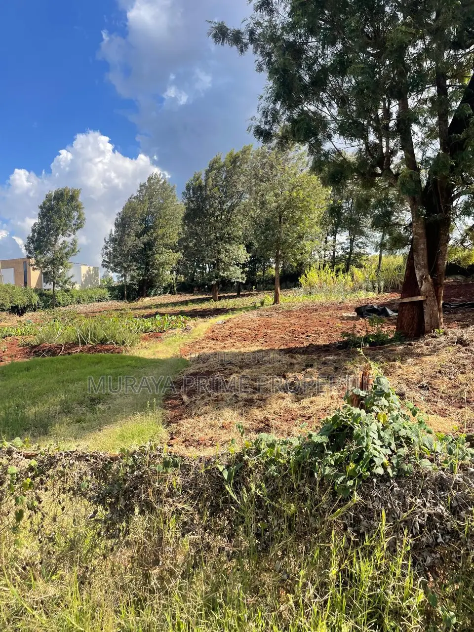 Prime Residential Plot for Sale – Kerarapon Drive