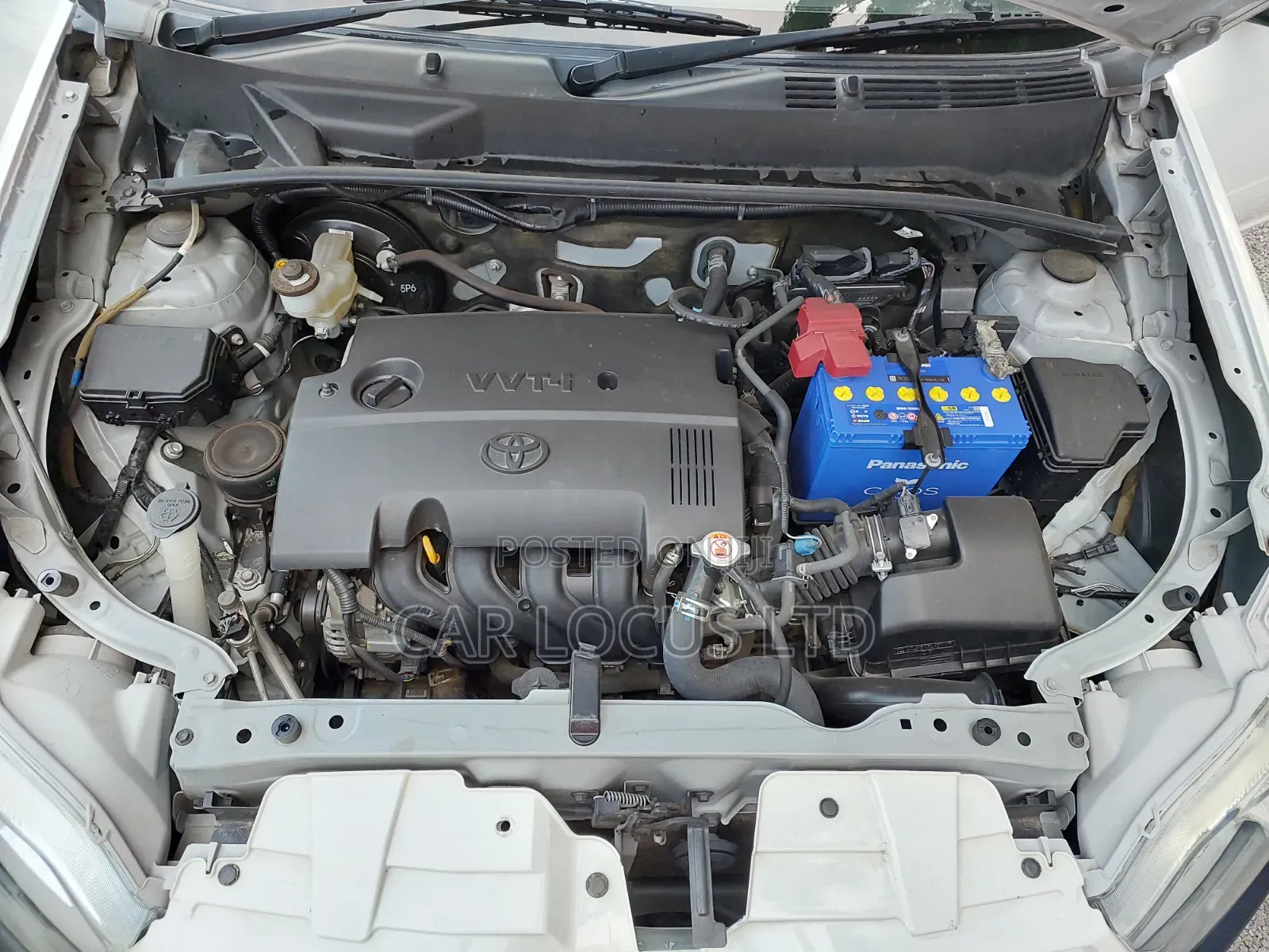 Toyota Succeed 2019 White
