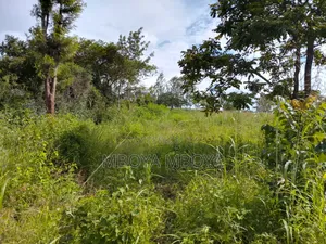 1.25acre Land for Sale in Kilimani