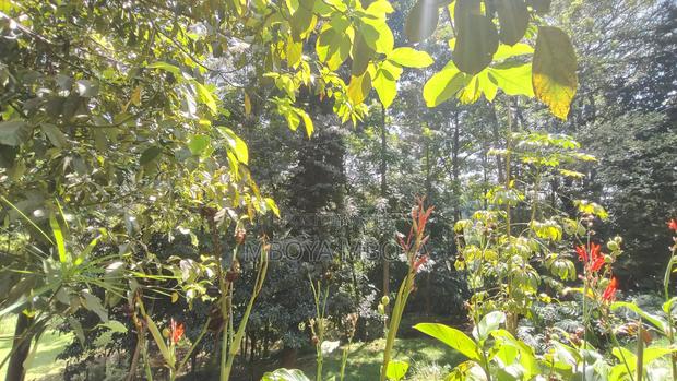 1.25acre Land for Sale in Kilimani - thumbnail 4