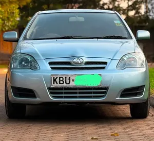 Toyota Allex 2006 Silver