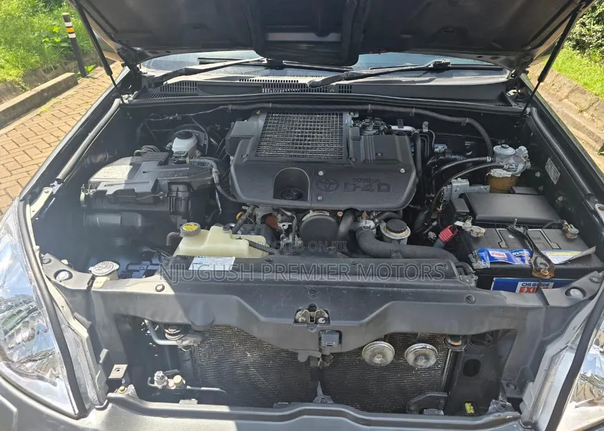 Toyota Land Cruiser Prado 2006 Gray