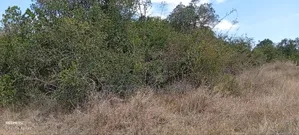 Mweiga, 50 Acres of Agricultural Land