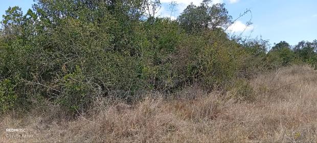 Mweiga, 50 Acres of Agricultural Land