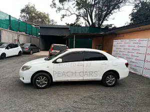 Toyota Axio 2010 White
