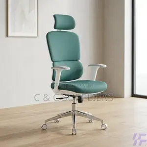 Office Chair; High Back Orthopedic Office Seat With Lumbar Support