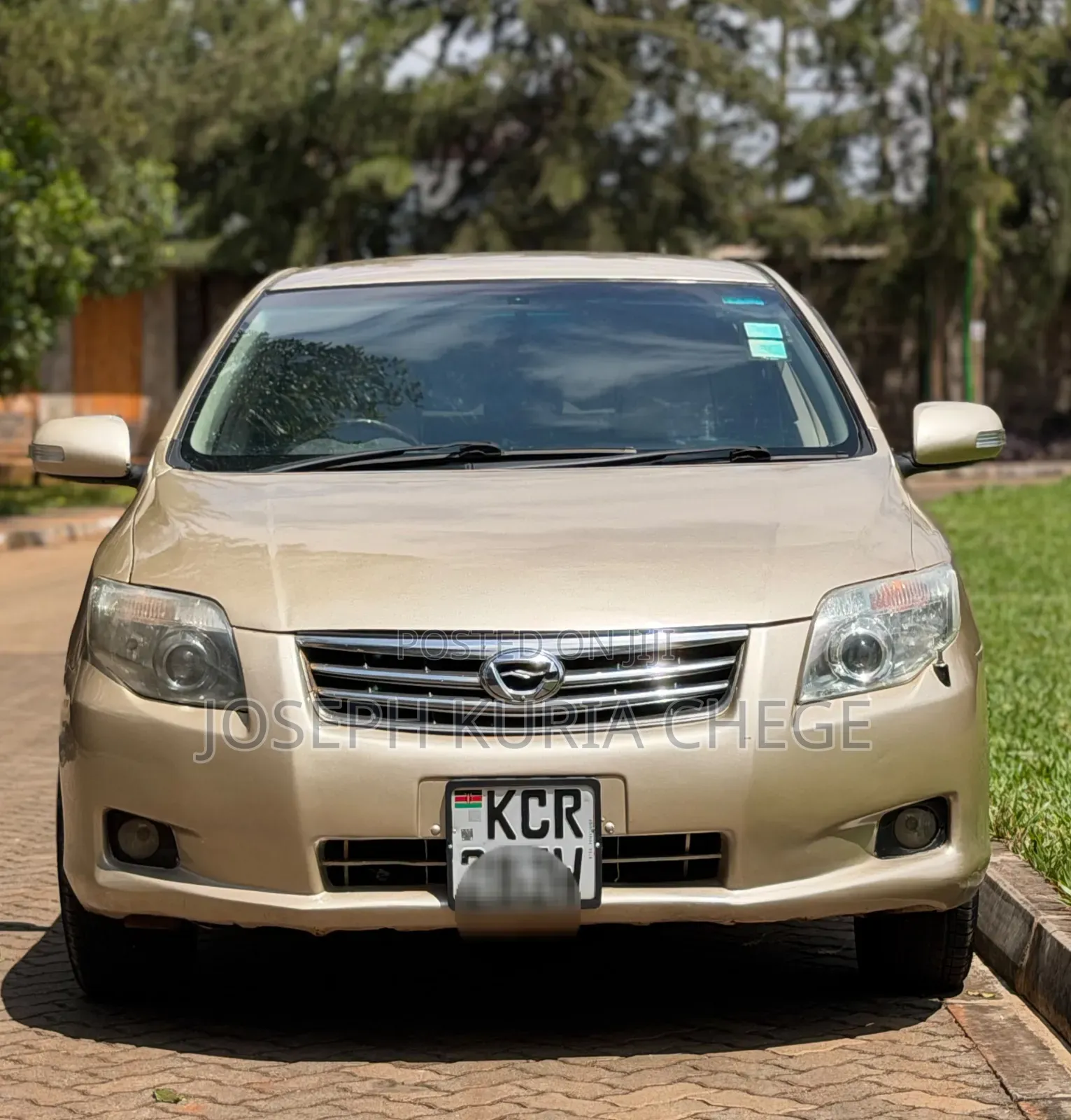 Toyota Axio 2011 Gold