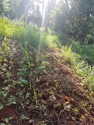 0.7 Acres on Sale at Kiriani-Kiambugi