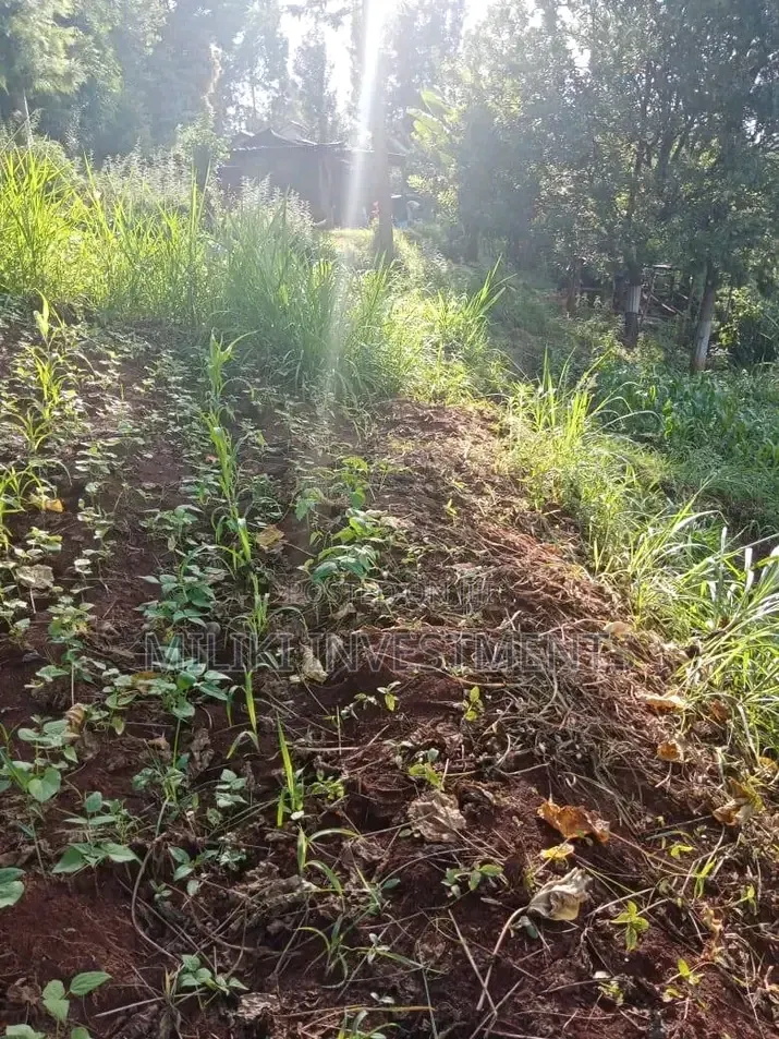 0.7 Acres on Sale at Kiriani-Kiambugi