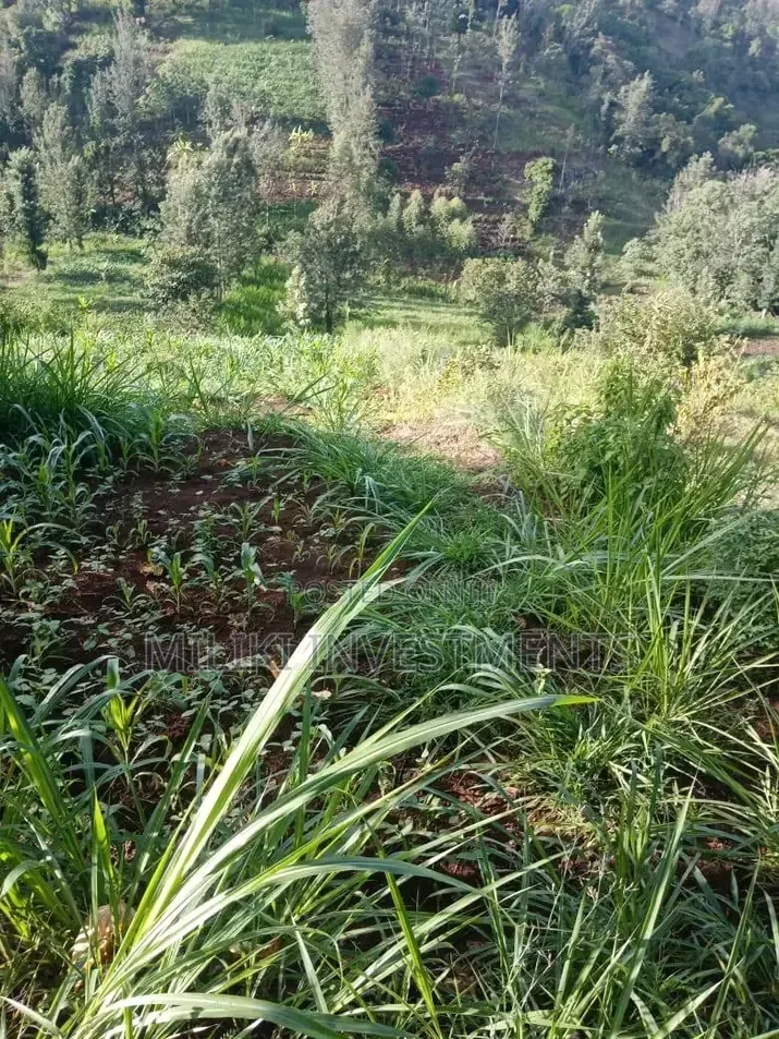 0.7 Acres on Sale at Kiriani-Kiambugi