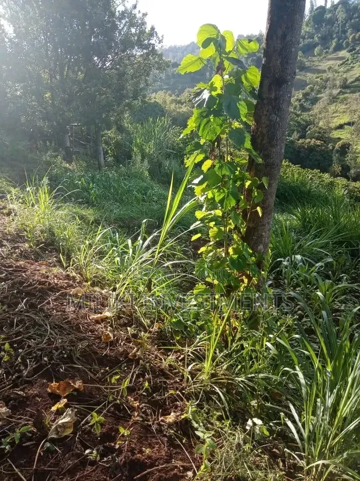 0.7 Acres on Sale at Kiriani-Kiambugi