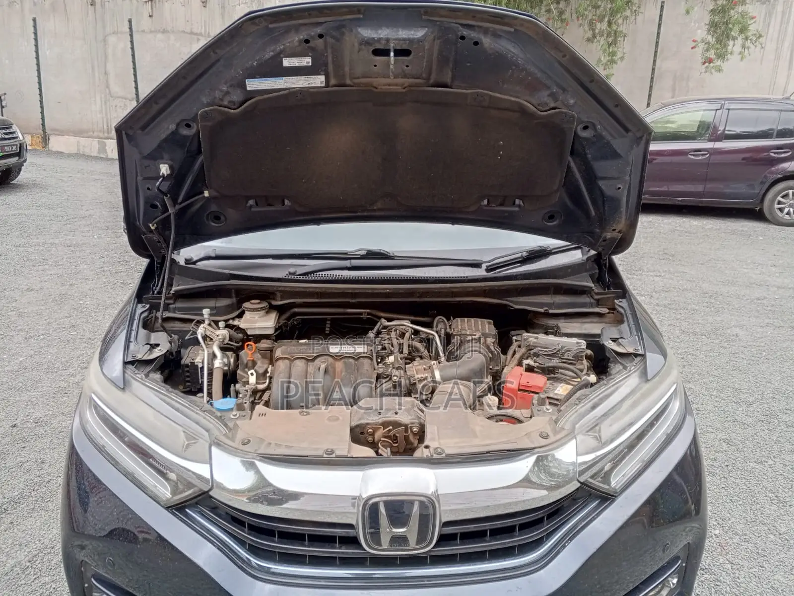 Honda Shuttle 2018 Blue