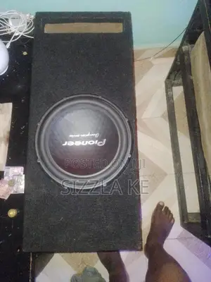 Pioneer 3003,12inch With Cabinet