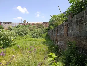 Prime Land Gitaru