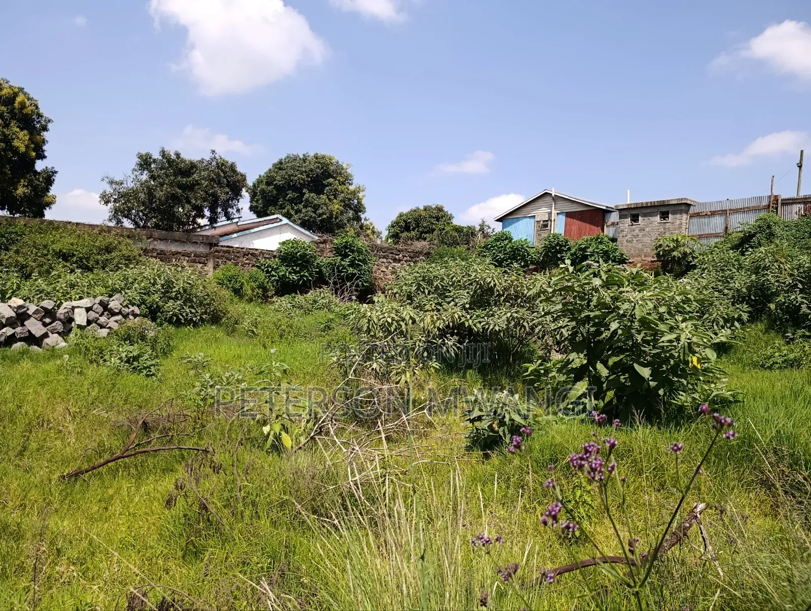 Prime Land Gitaru