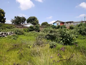 Prime Land Gitaru
