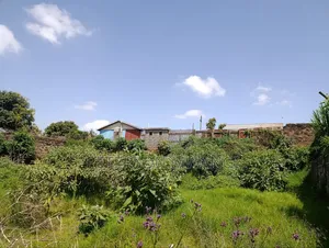 Prime Land Gitaru
