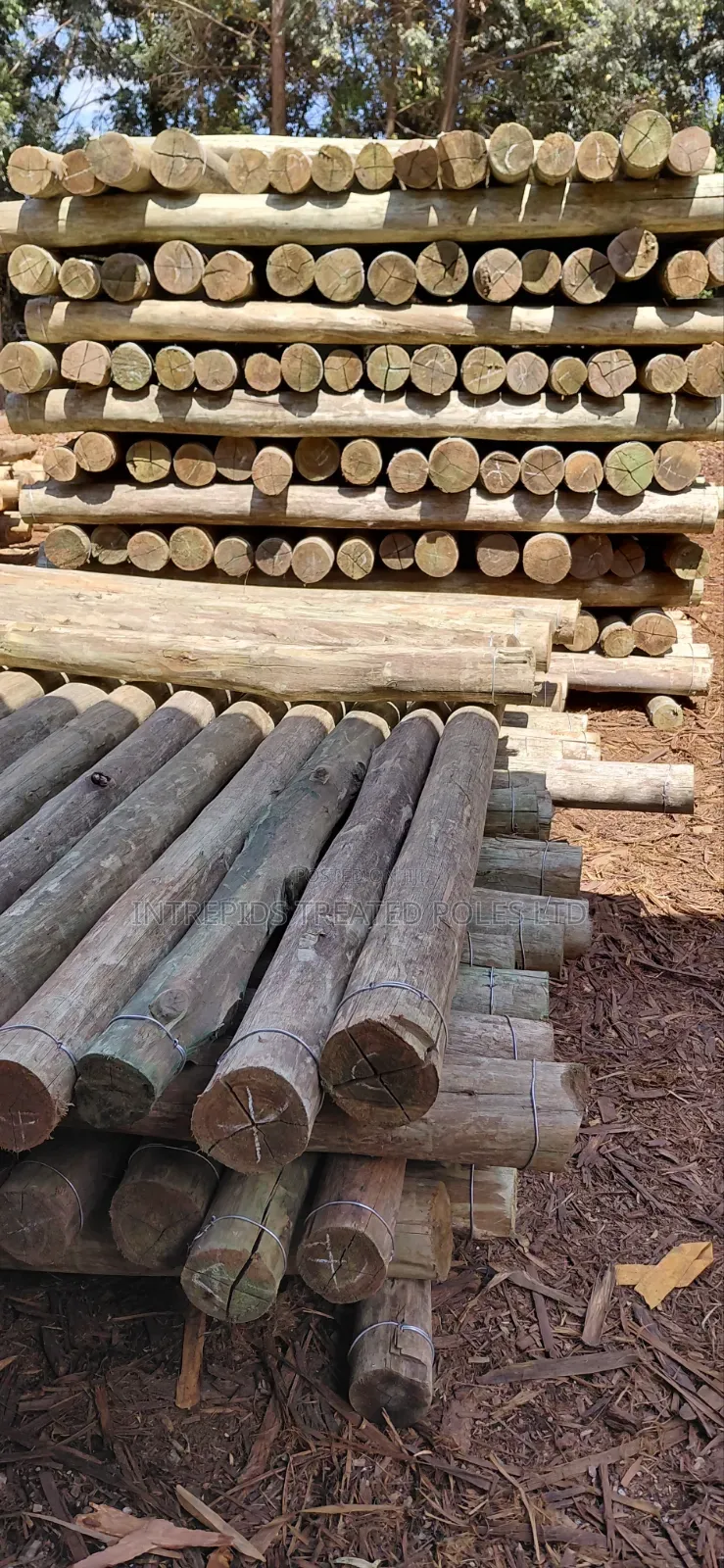 9ft/2.7m Treated Poles (4-5inches)