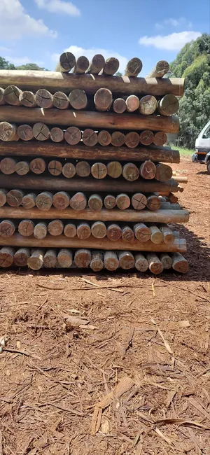 9ft/2.7m Treated Poles (4-5inches)