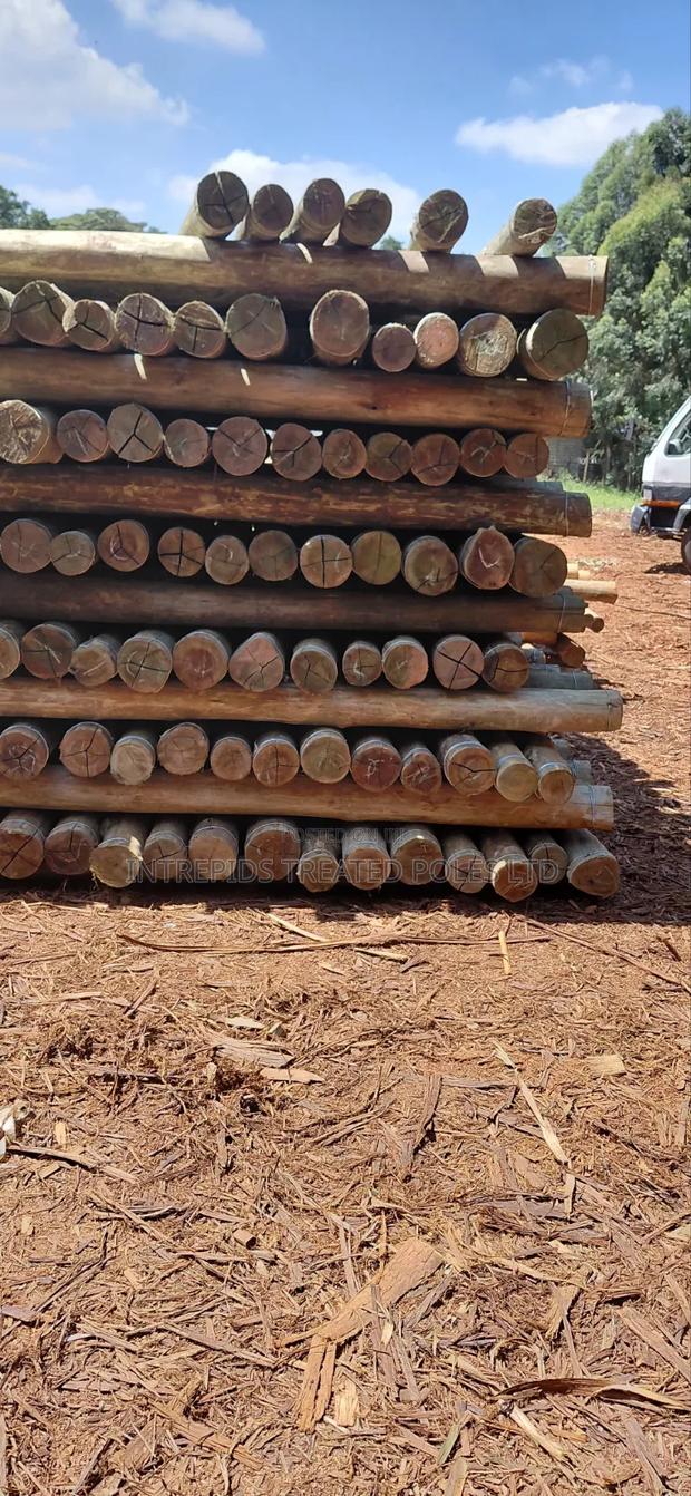 9ft/2.7m Treated Poles (4-5inches) - thumbnail 2