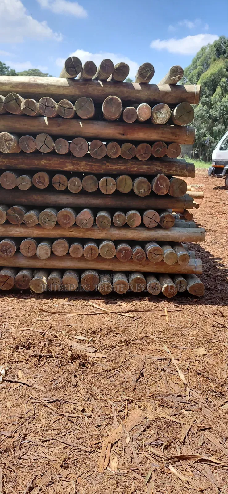 9ft/2.7m Treated Poles (4-5inches)