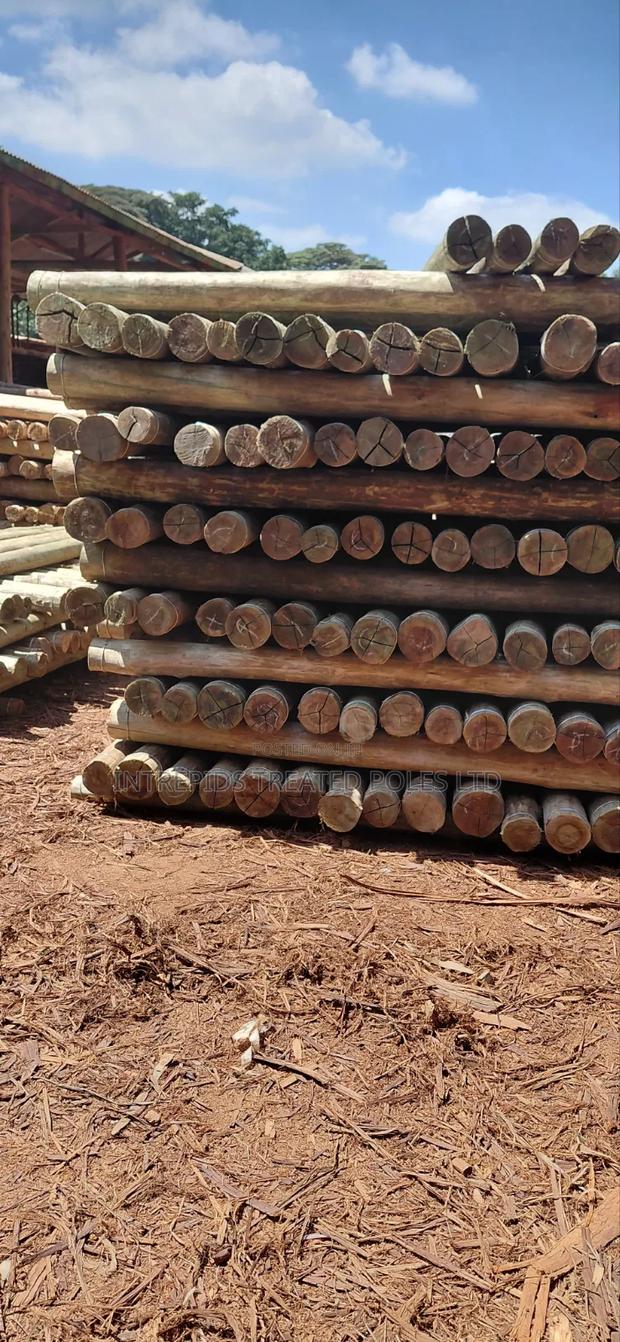 9ft/2.7m Treated Poles (4-5inches) - thumbnail 3