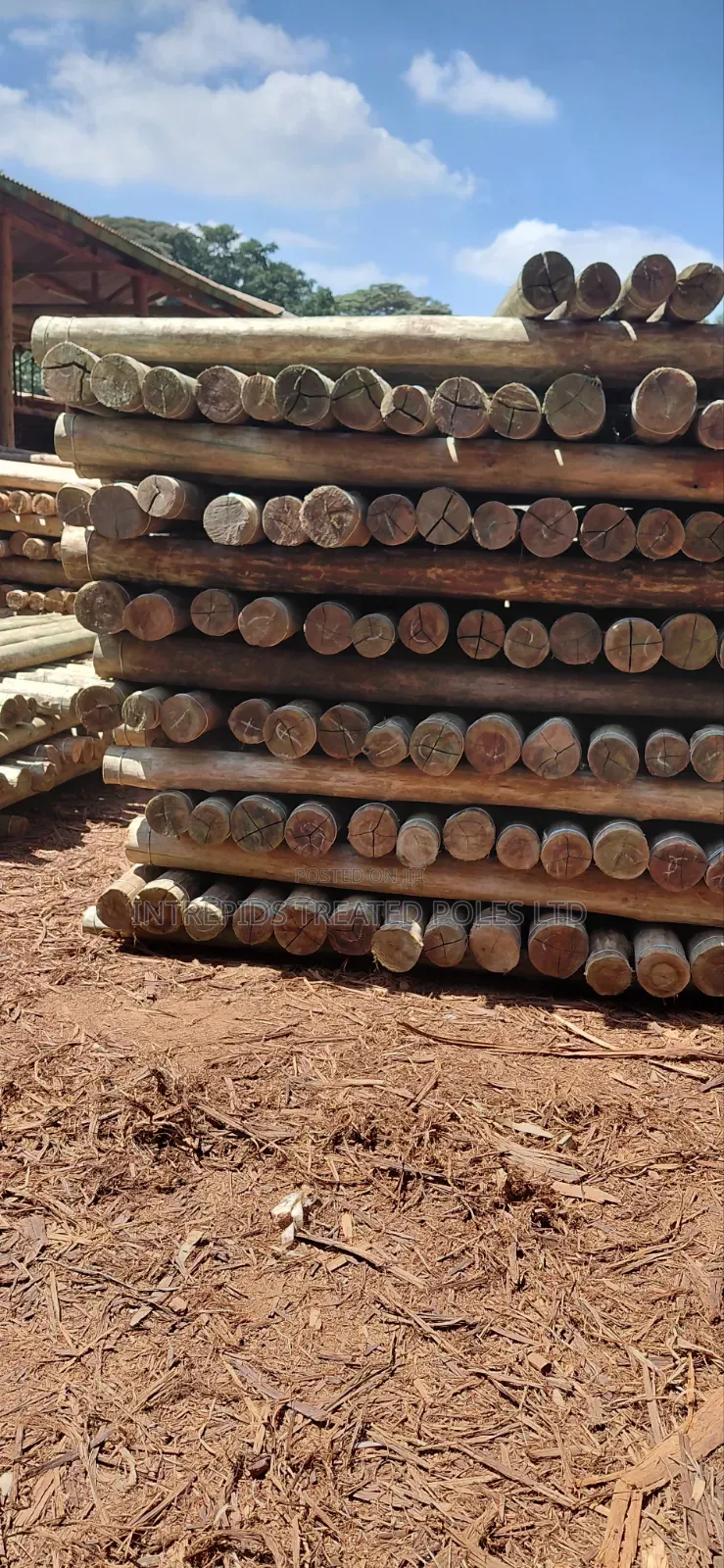 9ft/2.7m Treated Poles (4-5inches)