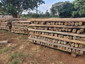 Treated Wooden Poles 8ft/2.4m (5-6inches)