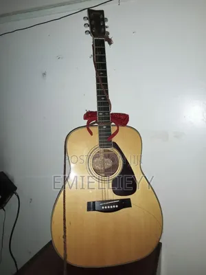 Acoustic Guitar