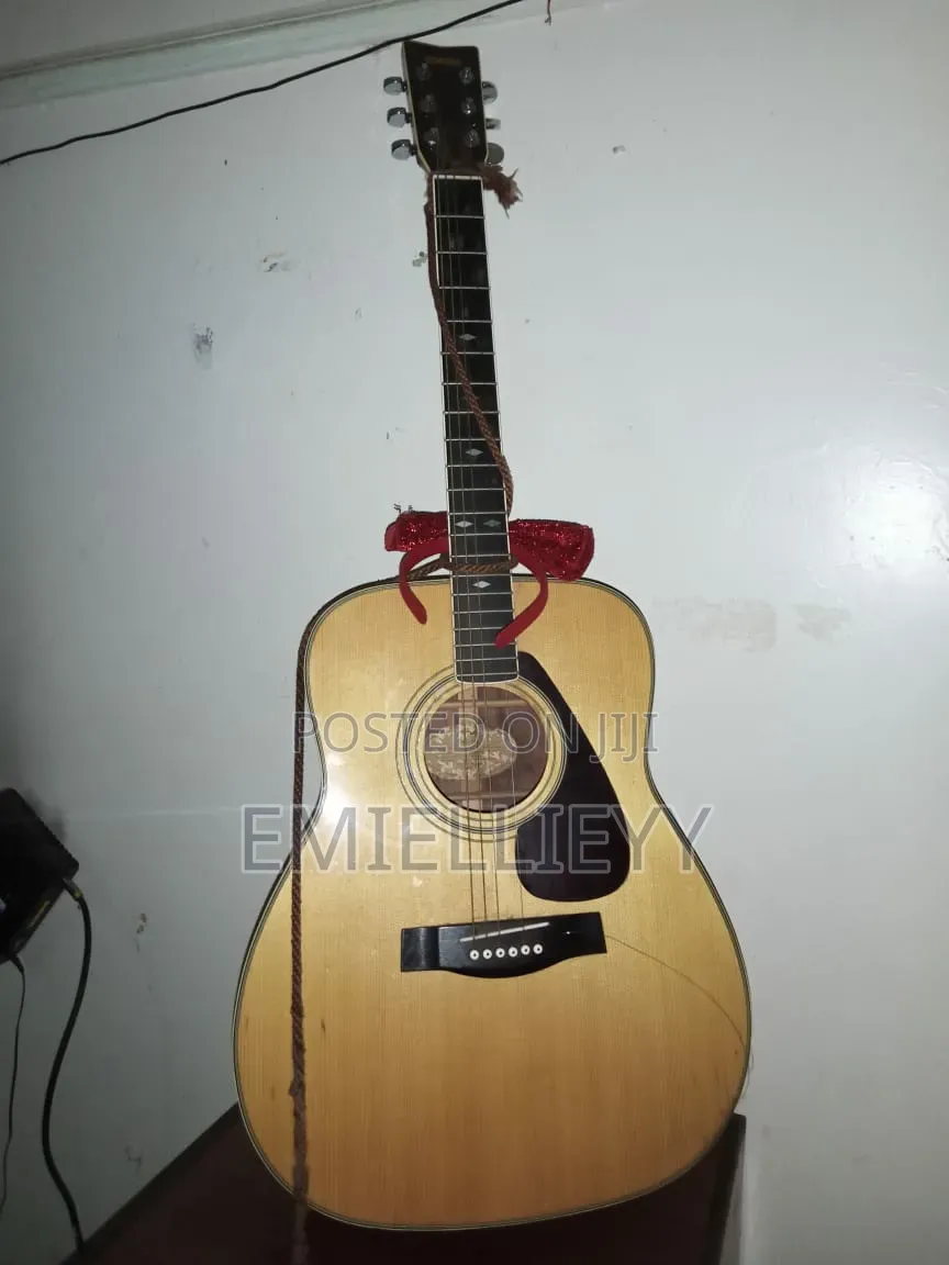 Acoustic Guitar